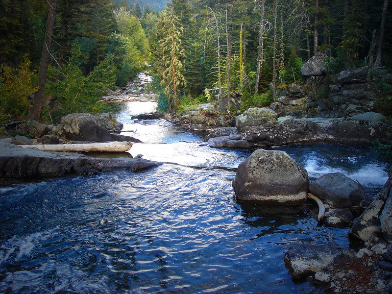 Scenic mountain stream