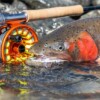 Galvan Torque Fly Reel - Image 21