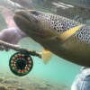 Galvan Torque Fly Reel - Image 8