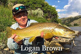 Logan Brown comments