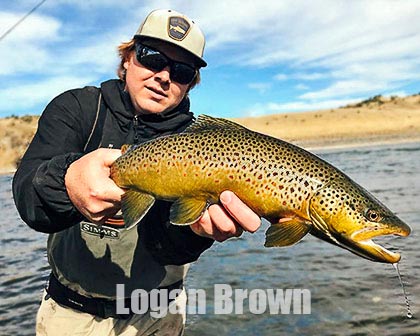 Logan Brown