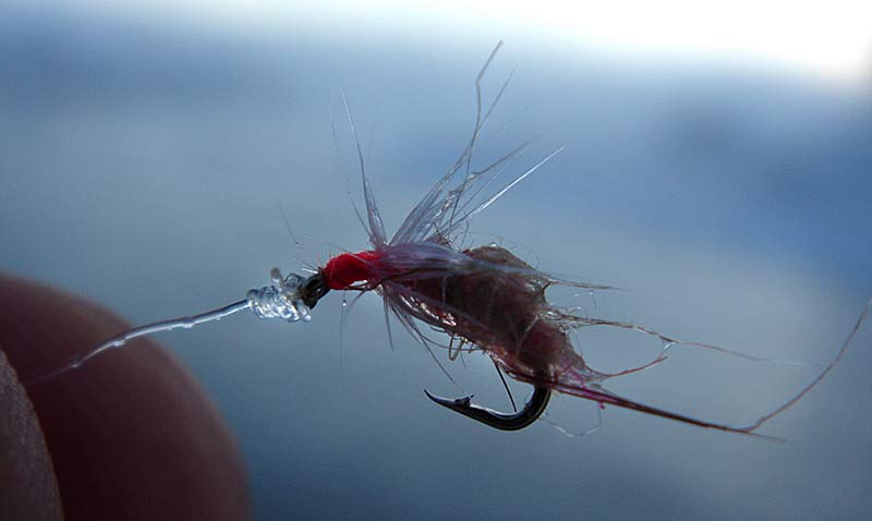 thick tippet