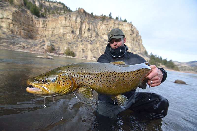 Hank Bechard with a big brown