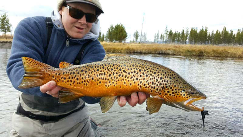 Logan Brown fly fishing 