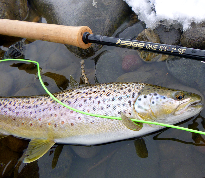 Sage ONE Trout Spey
