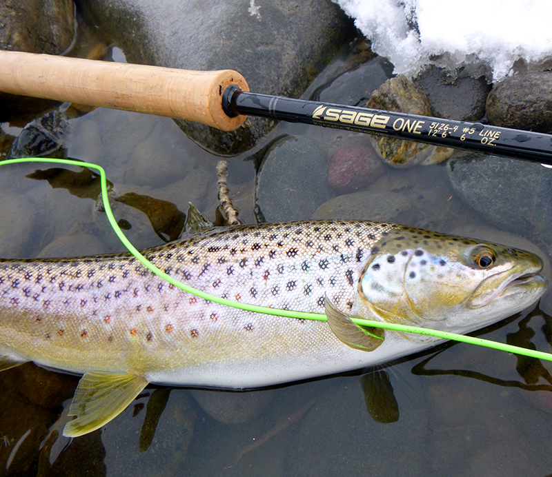 Gear Reviews » Multiple Fly Rod Weight Rankings » Yellowstone Angler