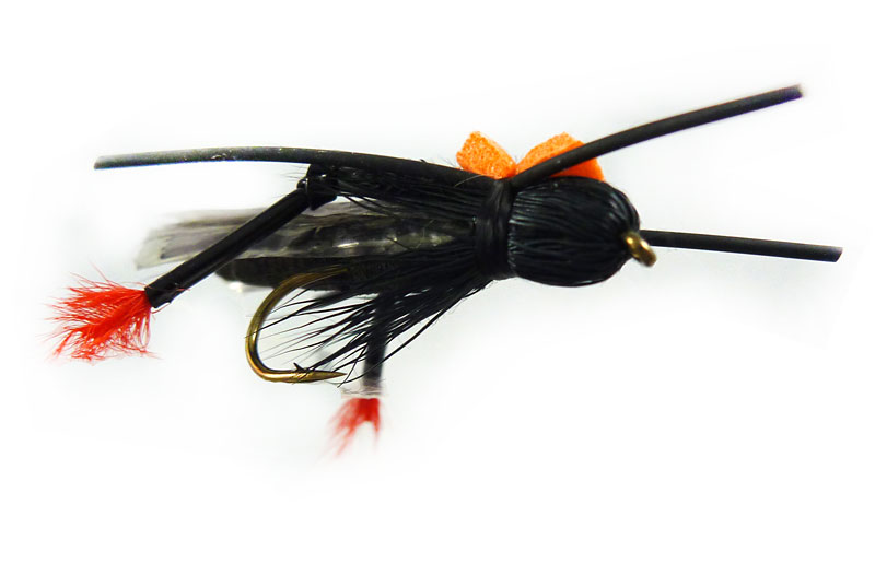 Fly Fishing Cricket