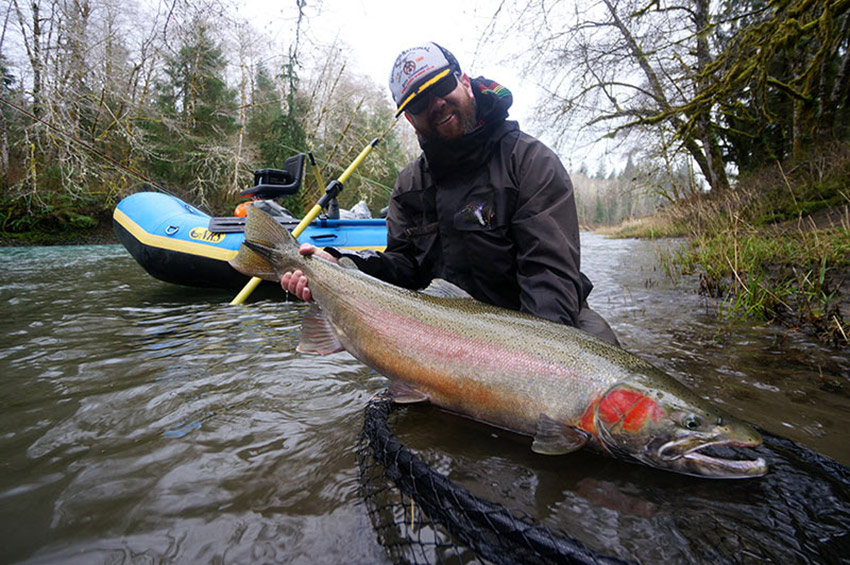 James Anderson OP steelhead