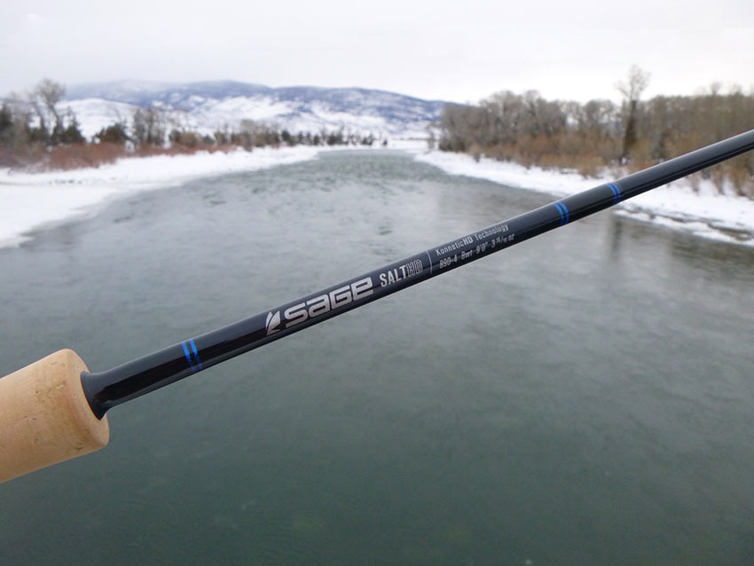 Sage Salt HD fly rod