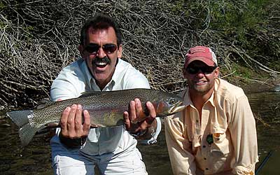 Caught rainbow trout