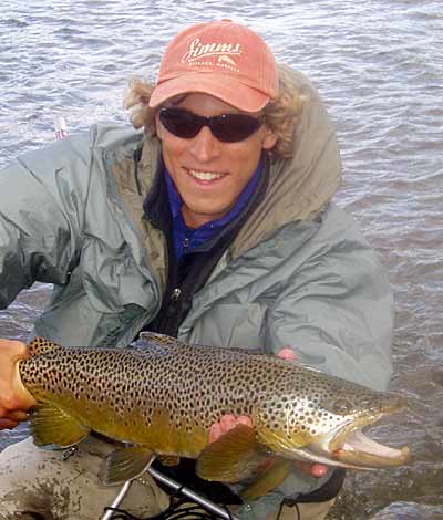 Large brown trout