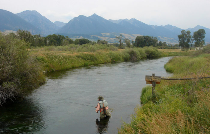 Angler wading in creek