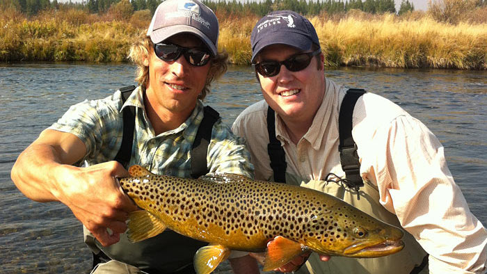 Huge brown trout