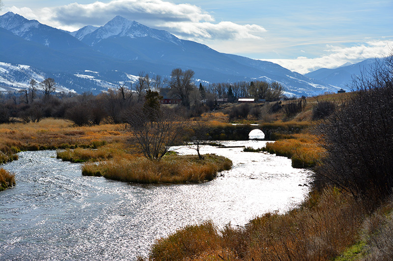 DePuy Creek In Winter