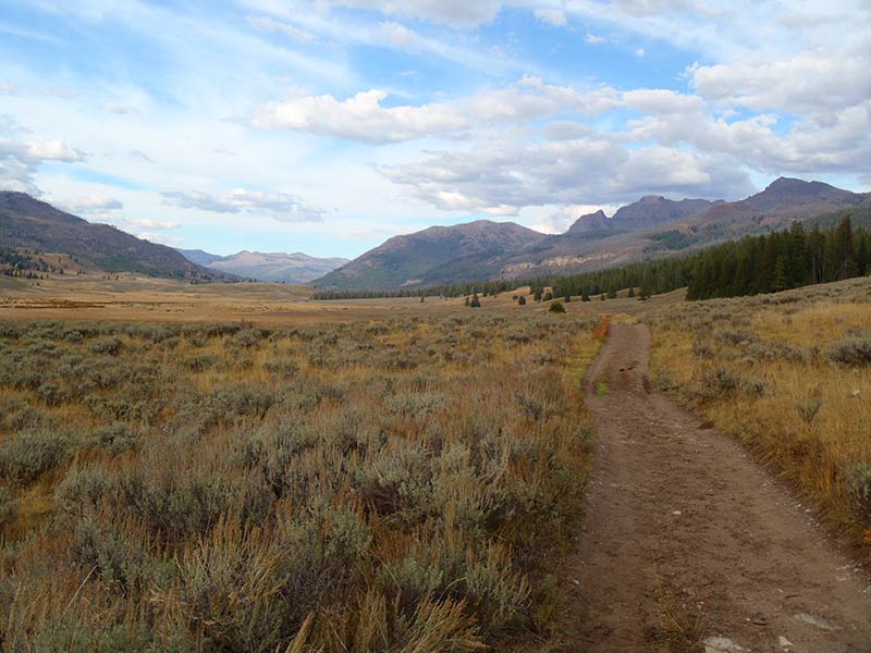 Dirt road to Slough Creek