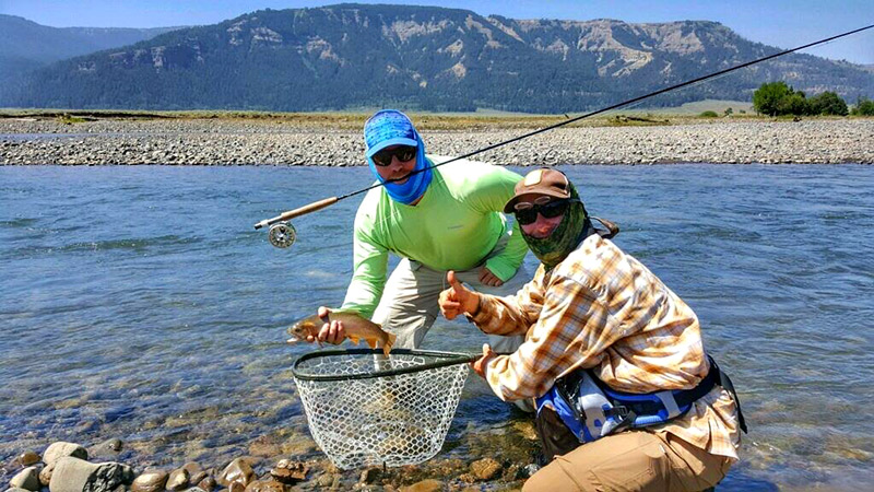 Fly Fishing Yellowstone Nat'l Park