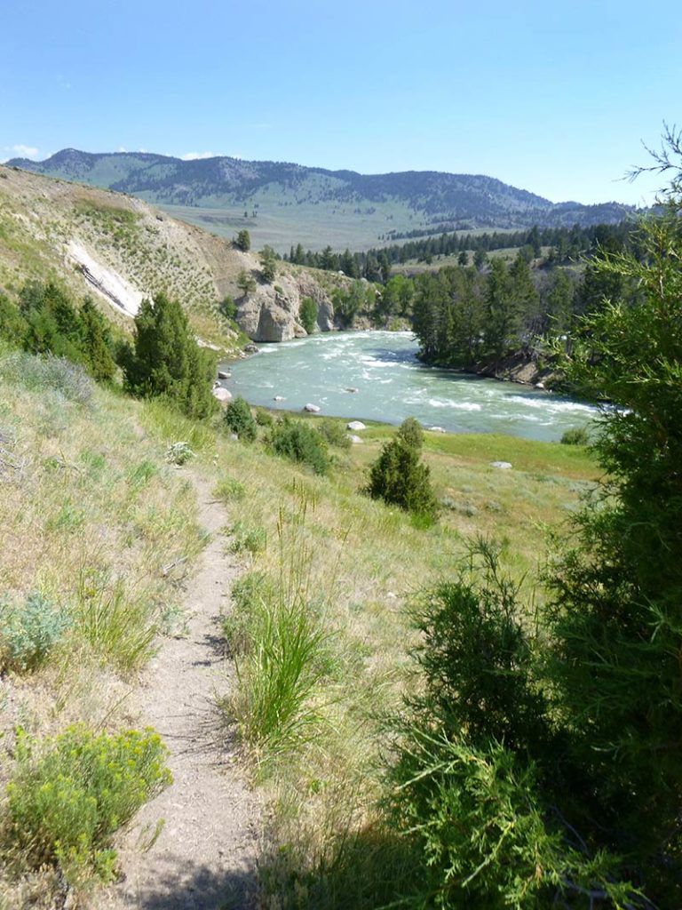 Yellowstone River Landscape