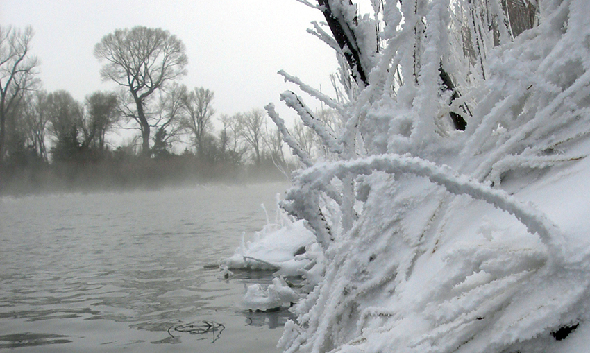 Frost and snow on creekside