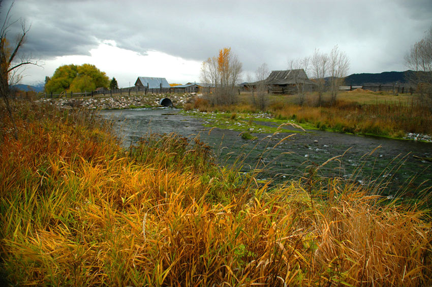 Armstrong Spring Creek in fall