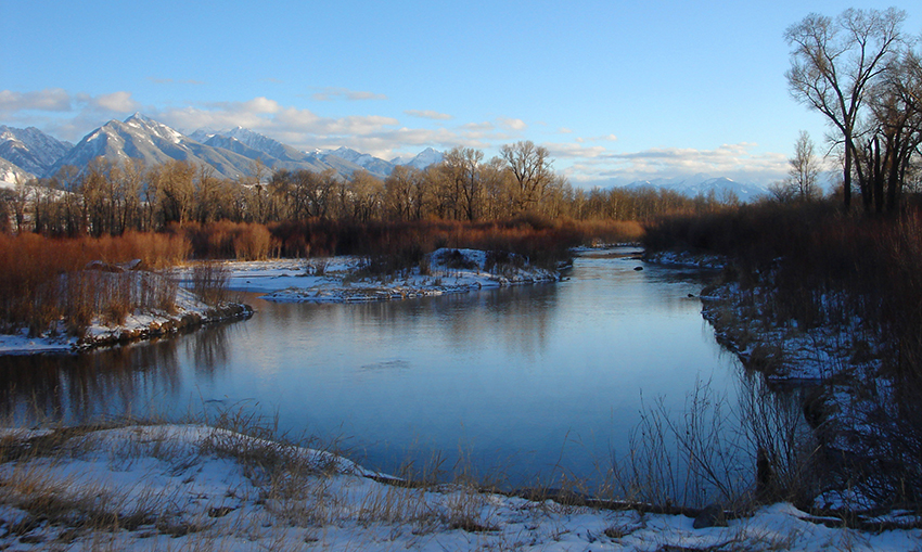 Lower DePuys creek in winter