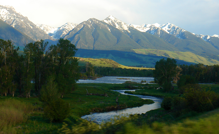 DePuy creek vista