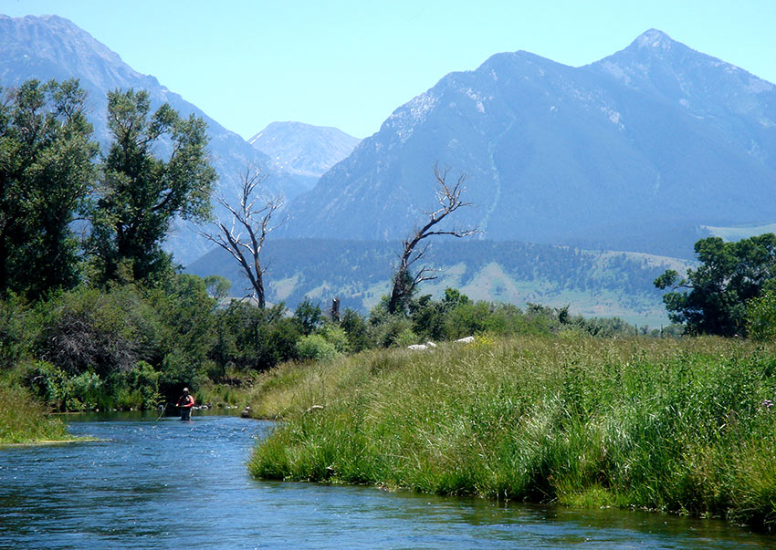 Fly fishing in Armstrong Spring Creek