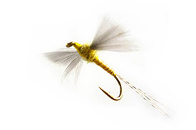 Fly pattern on hook