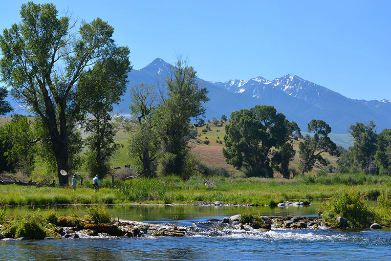 Nelson's Spring Creek landscape.