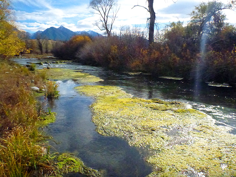 Lower Nelson's Spring Creek in autumn.