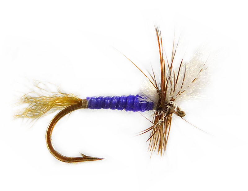 Fly Fishing PRIME COLLECTION"BUTCHER" Wet Fly pack Size 10/12 pack of 8 