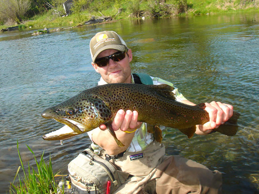 Long brown trout