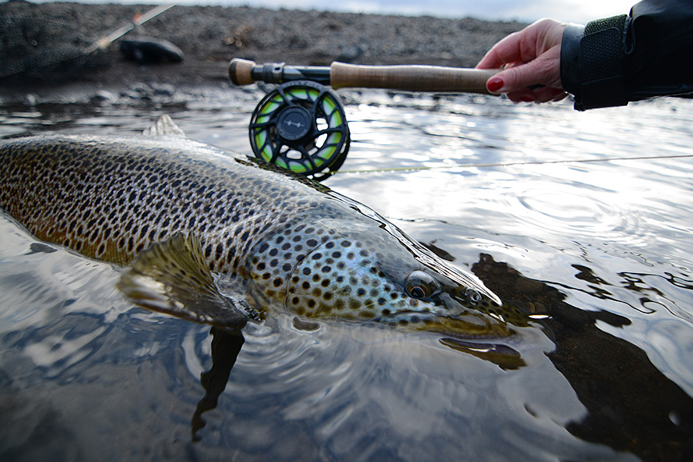 Shop Fly Fishing Reels For Trout