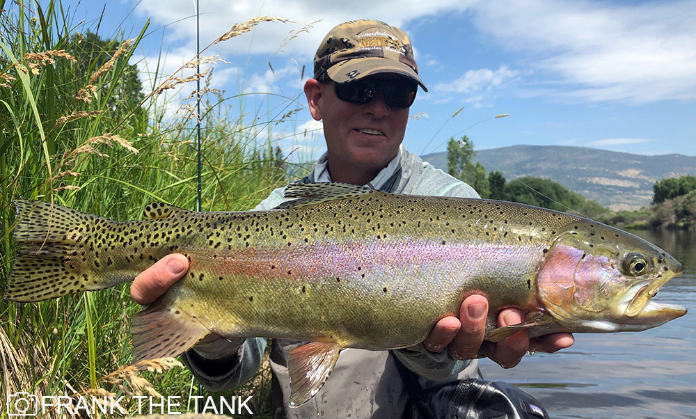 fly fishing trips yellowstone national park