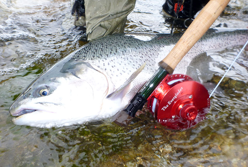 Shop For Fly Fishing Gear » Online Inventory » Yellowstone Angler