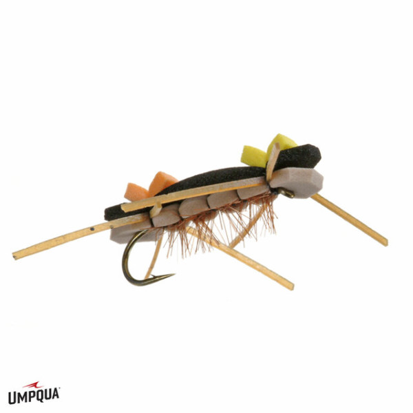 Chernobyl Ant