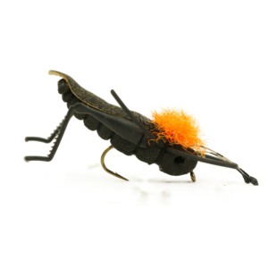 Furimsky's Hot Legs Cricket
