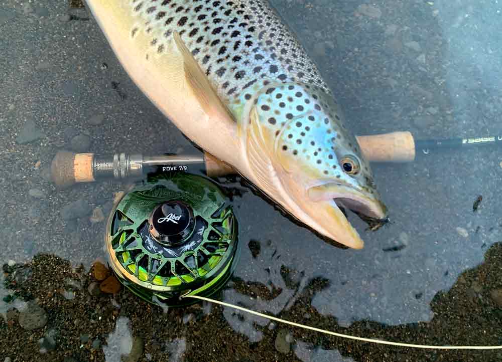 Gorge Fly Shop Blog: Ross Gunnison Fly Reels - New for 2018