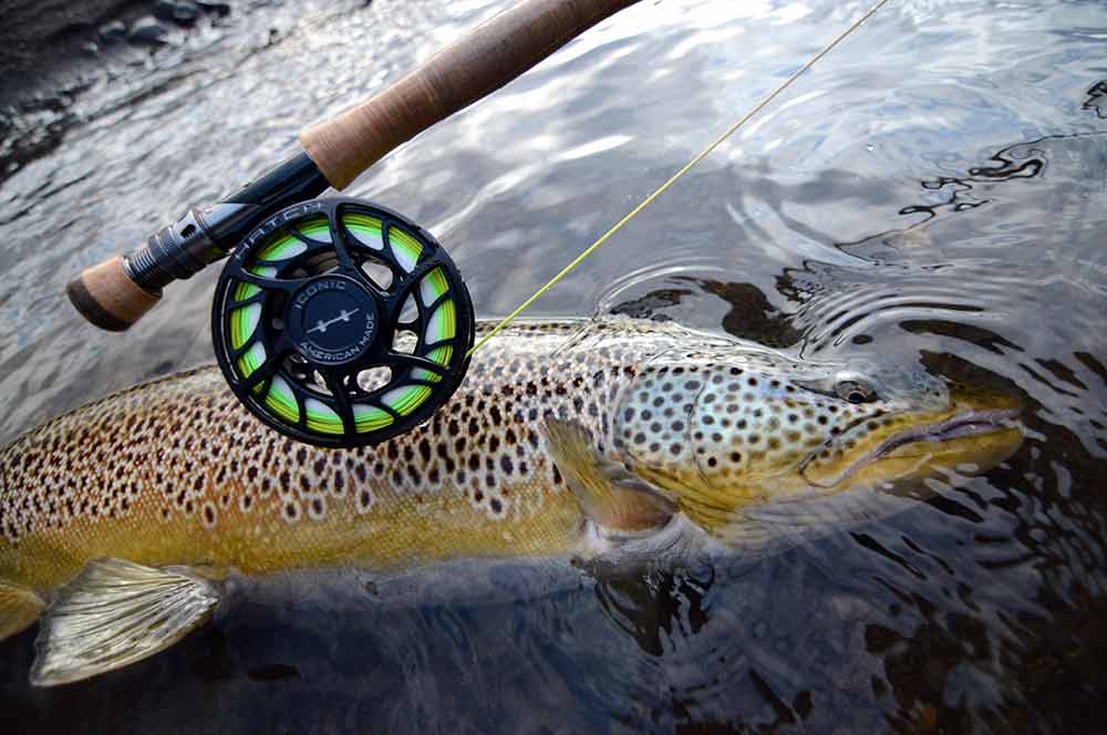 Best 7 Weight Fly Reels (2023 Buyer's Guide) - Into Fly Fishing