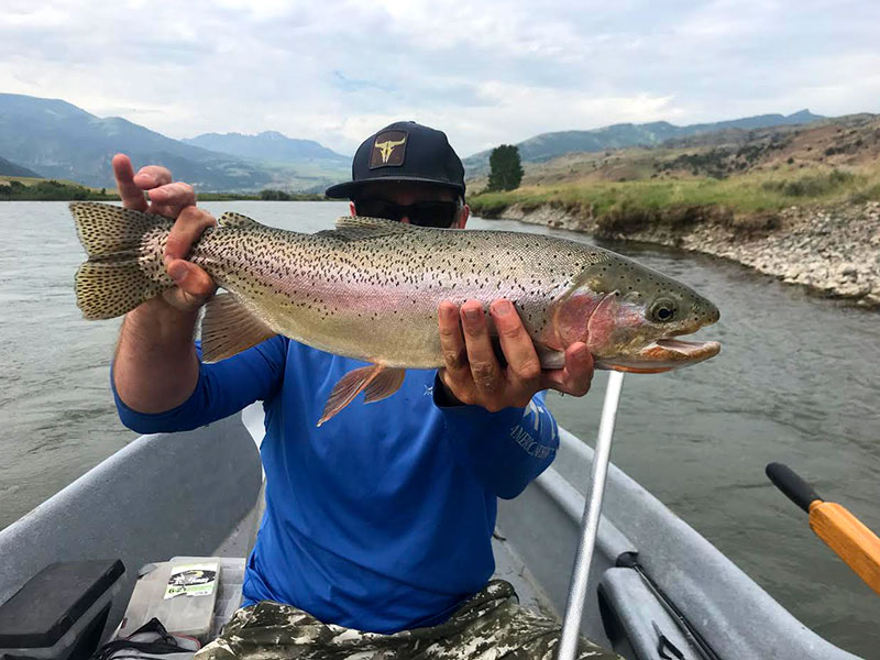 Cutbow Trout held by angler