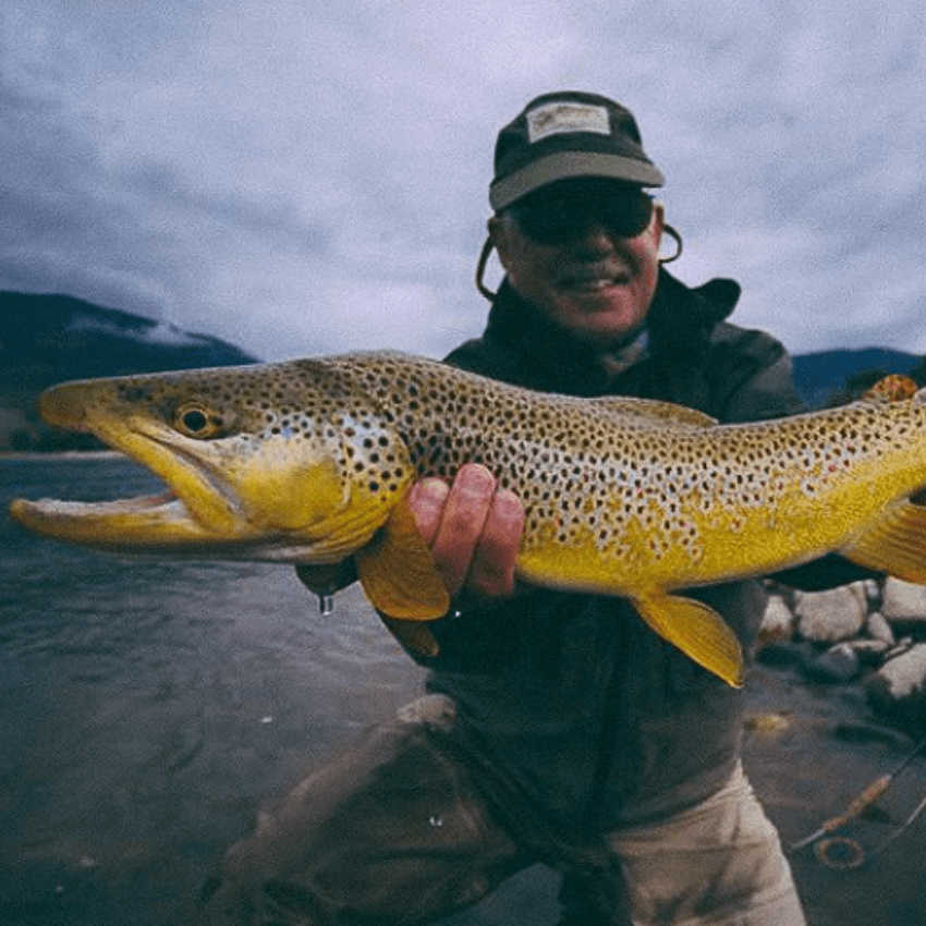 Large brown trout held by fisherman