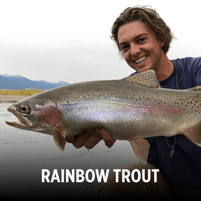 Rainbow Trout being held by happy fisherman