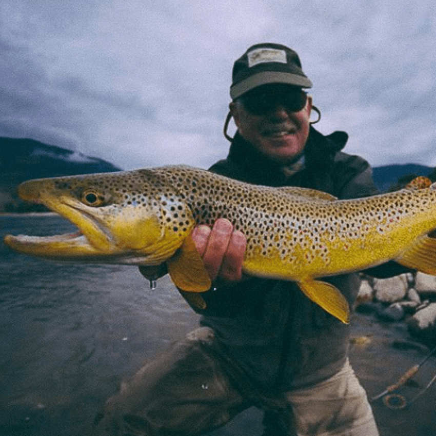 Angler with large brown trout