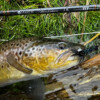 Hardy Marksman Fly Rod - Image 7