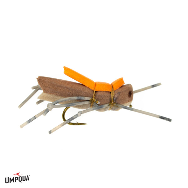 Morrish Hopper - One Dozen SPECIAL - Image 2