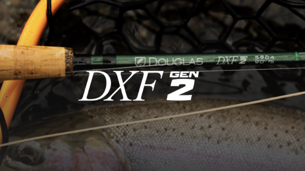 Douglas Outdoors DXF Gen2 Fly Rod - Image 4